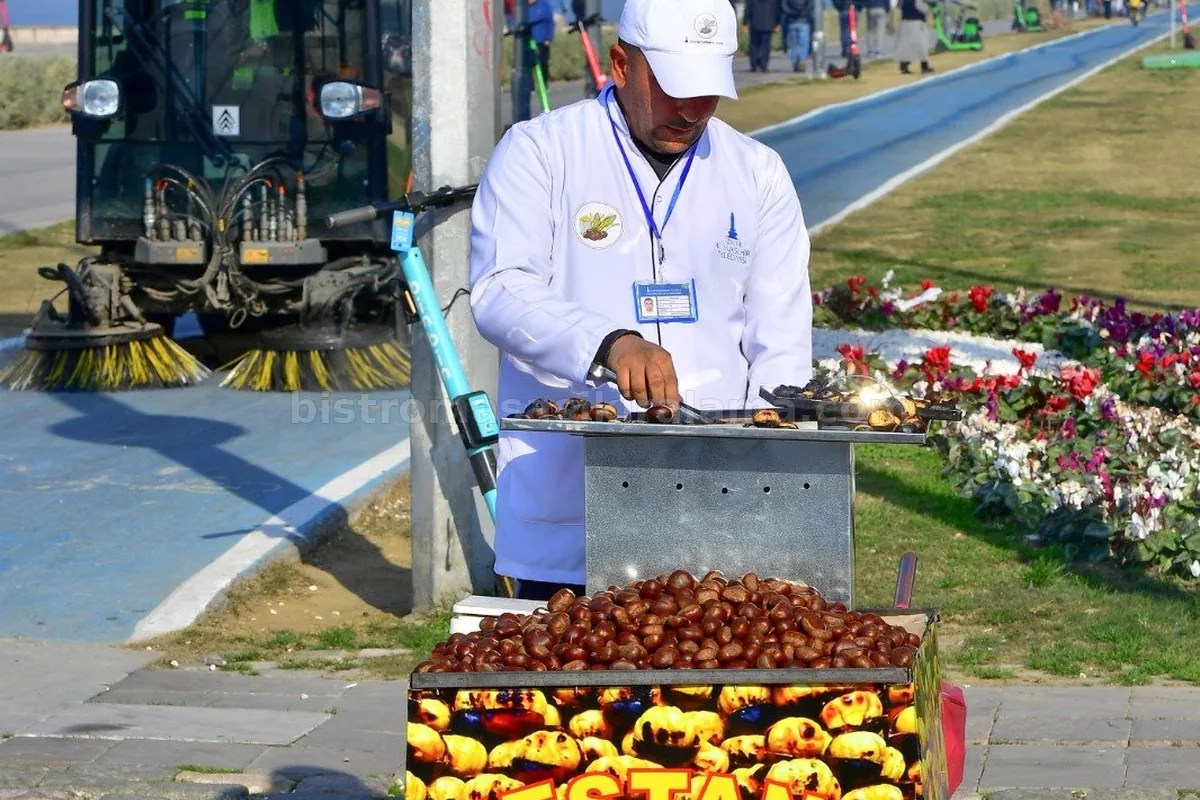 Kestane Kebap Arabasi Kiralama